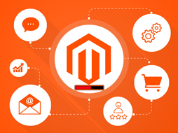 Install & Config Magento